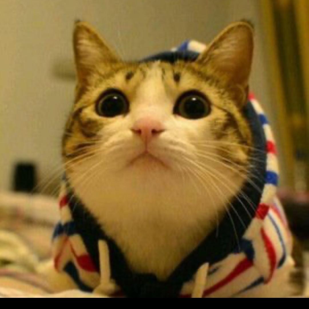 金铲铲（养蛙人)