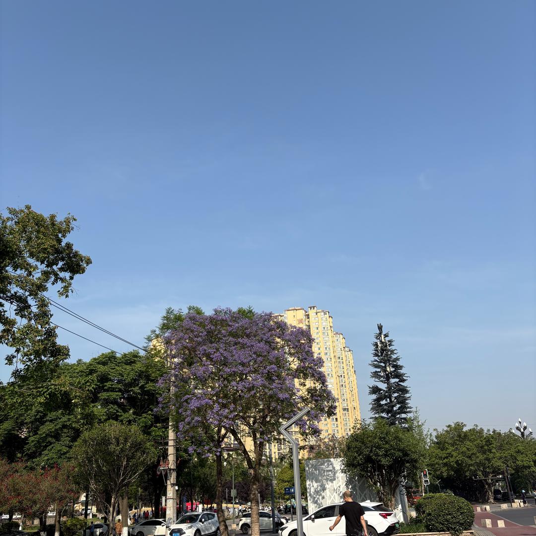 小罗的烧烤情报社