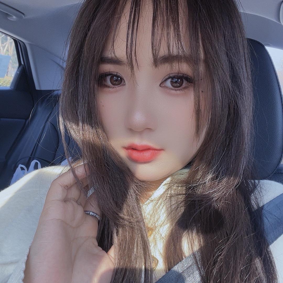 树上有个熊🐻