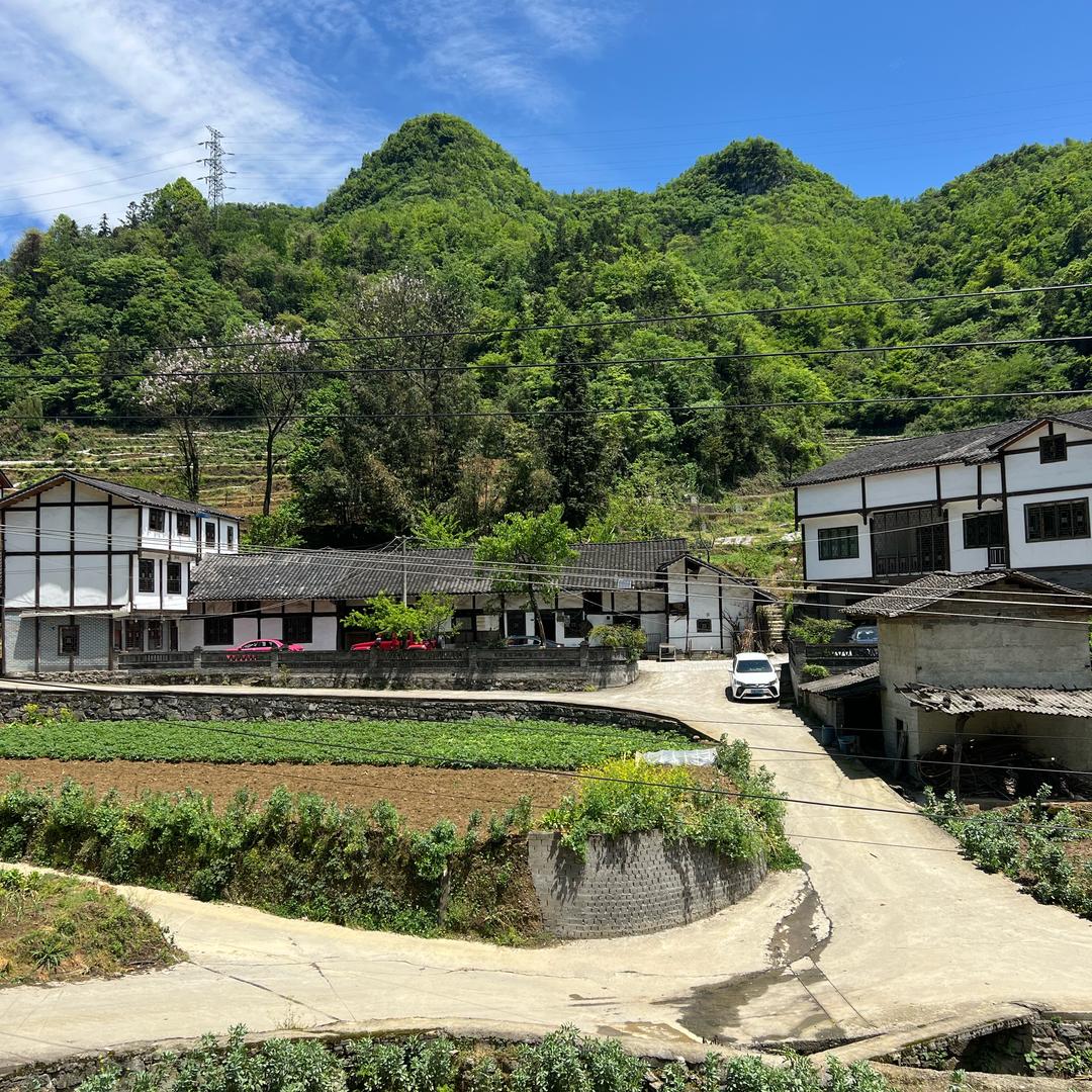 樱姐收山货