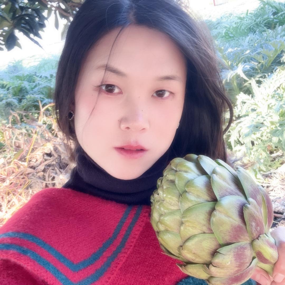 洋蓟妹妹