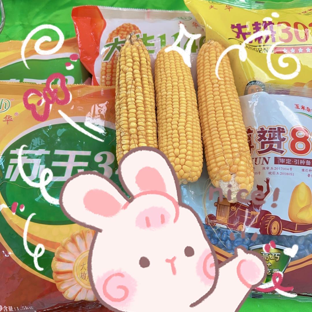 泗洪县大华种业有限公司