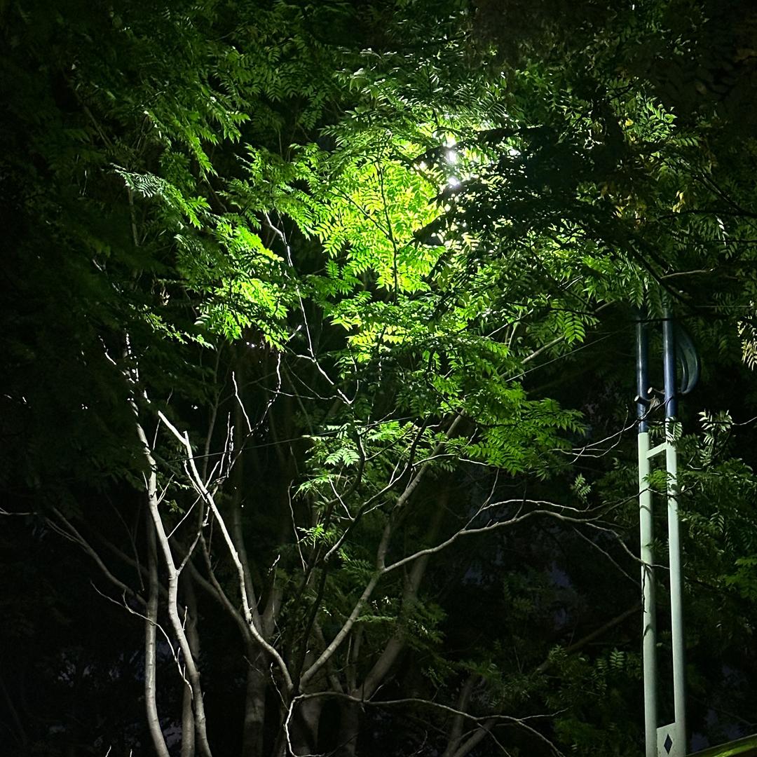原来°