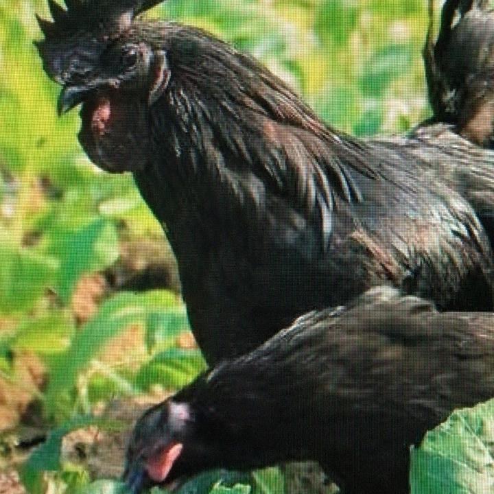 启时优品坊