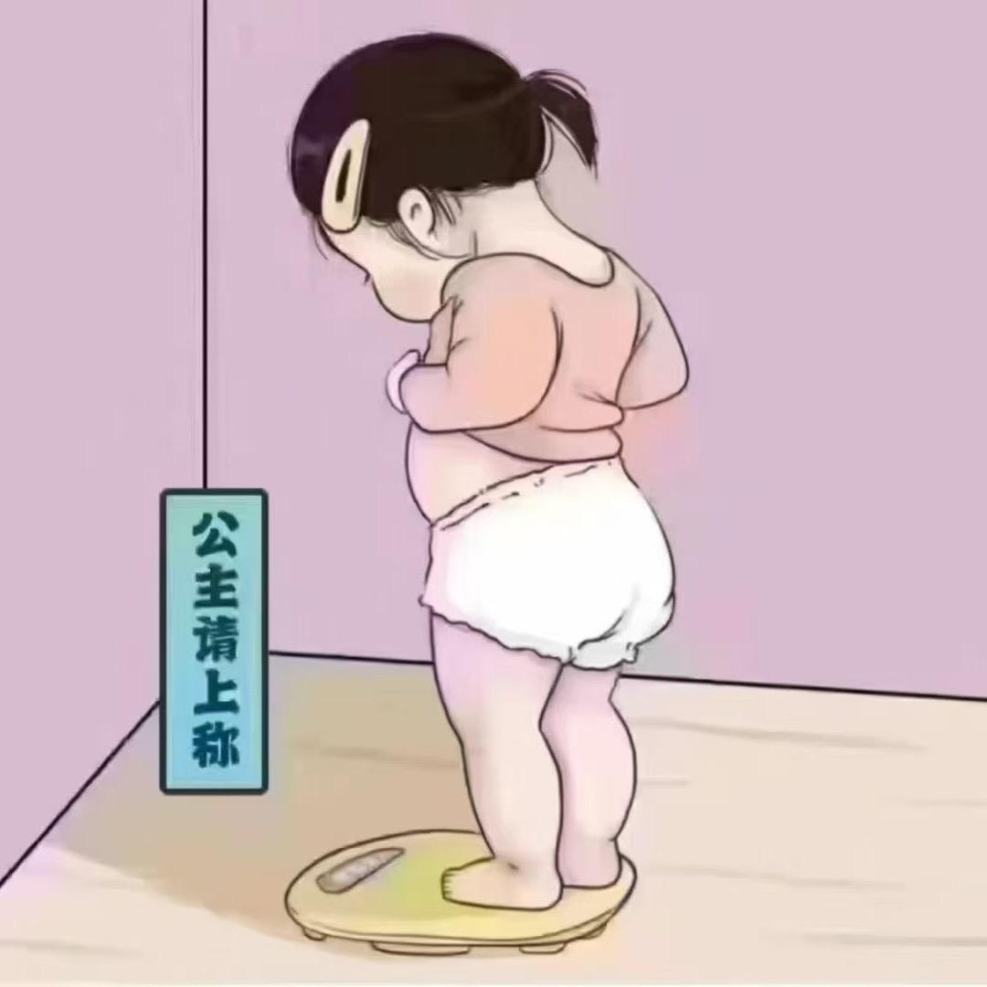 sisi
