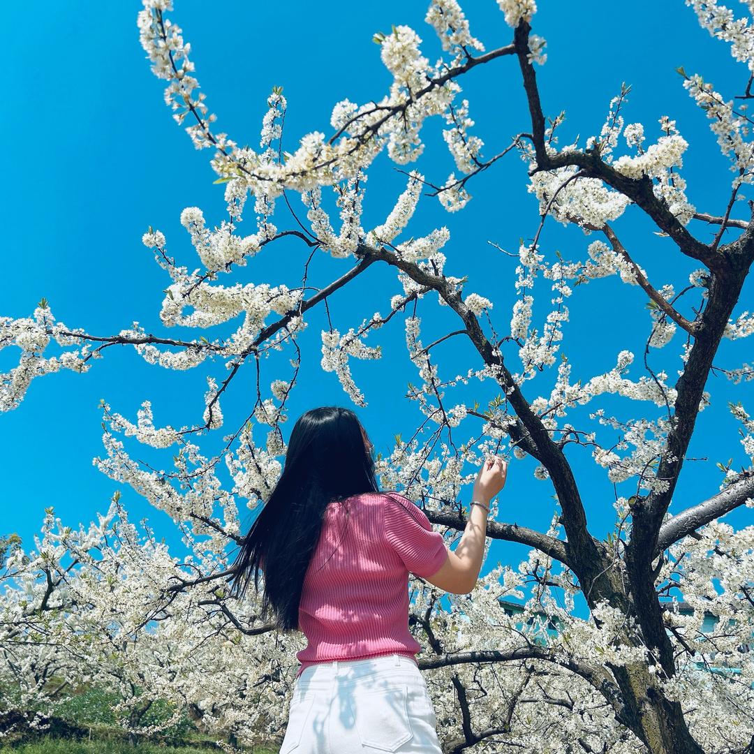 ડꪖᦔএ᭄.🌸