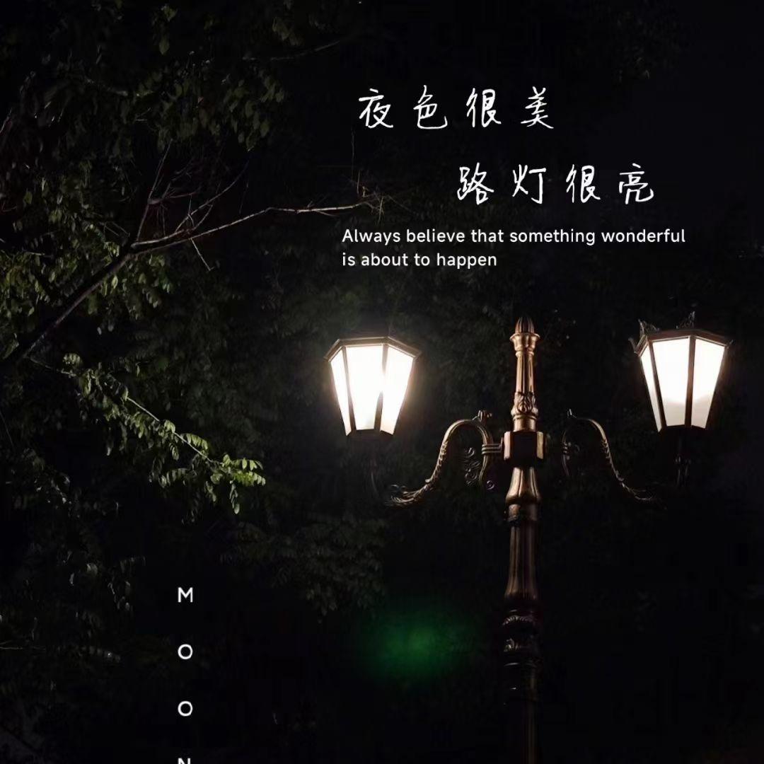 老马识途