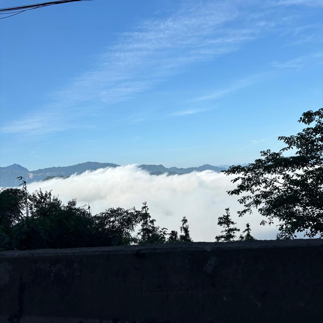 云淡风轻👨🏻