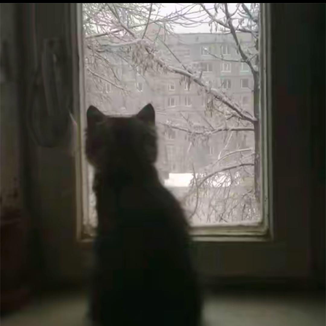 小小小笛