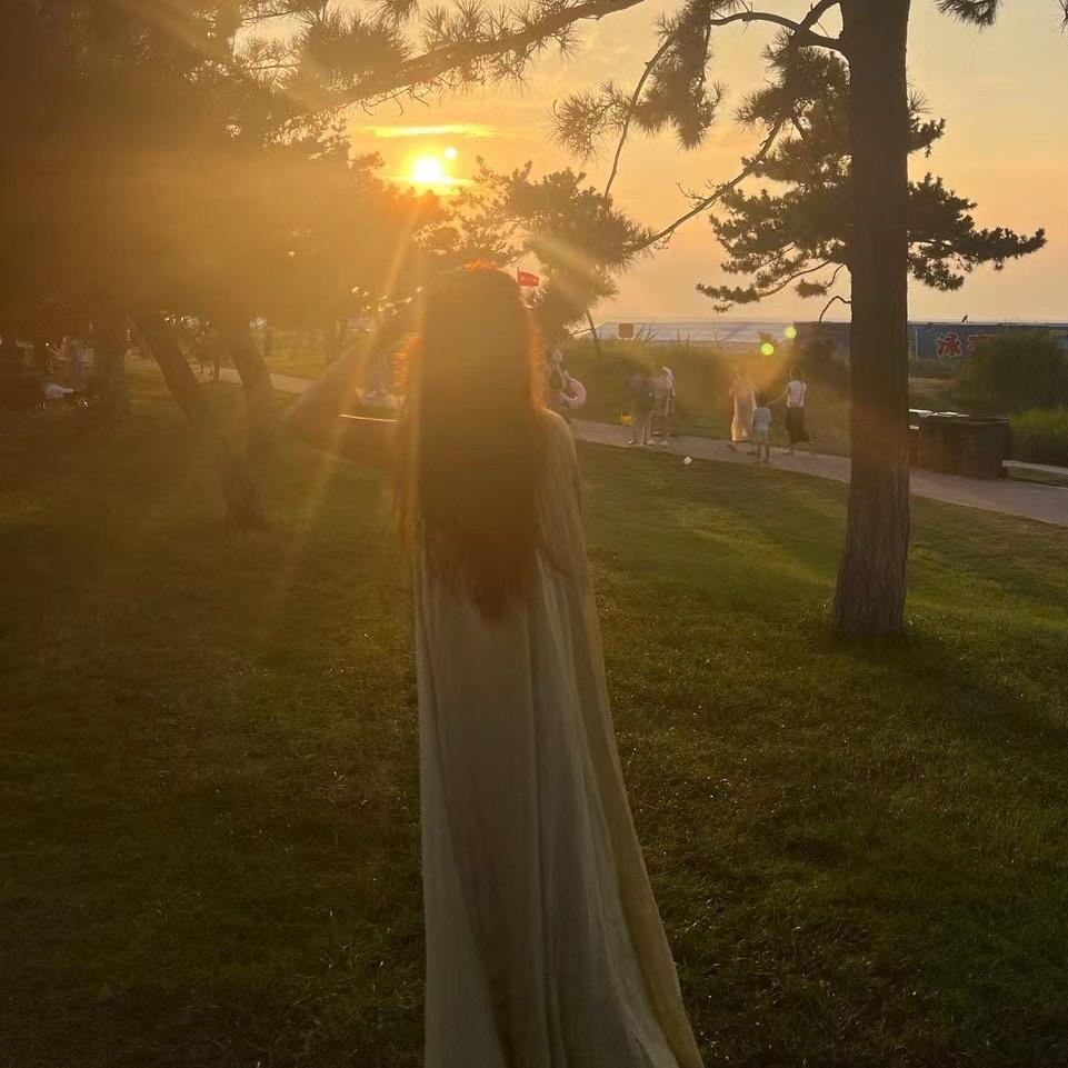 C ✨