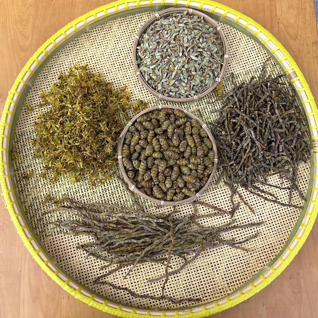 雁芝枫铁皮石斛