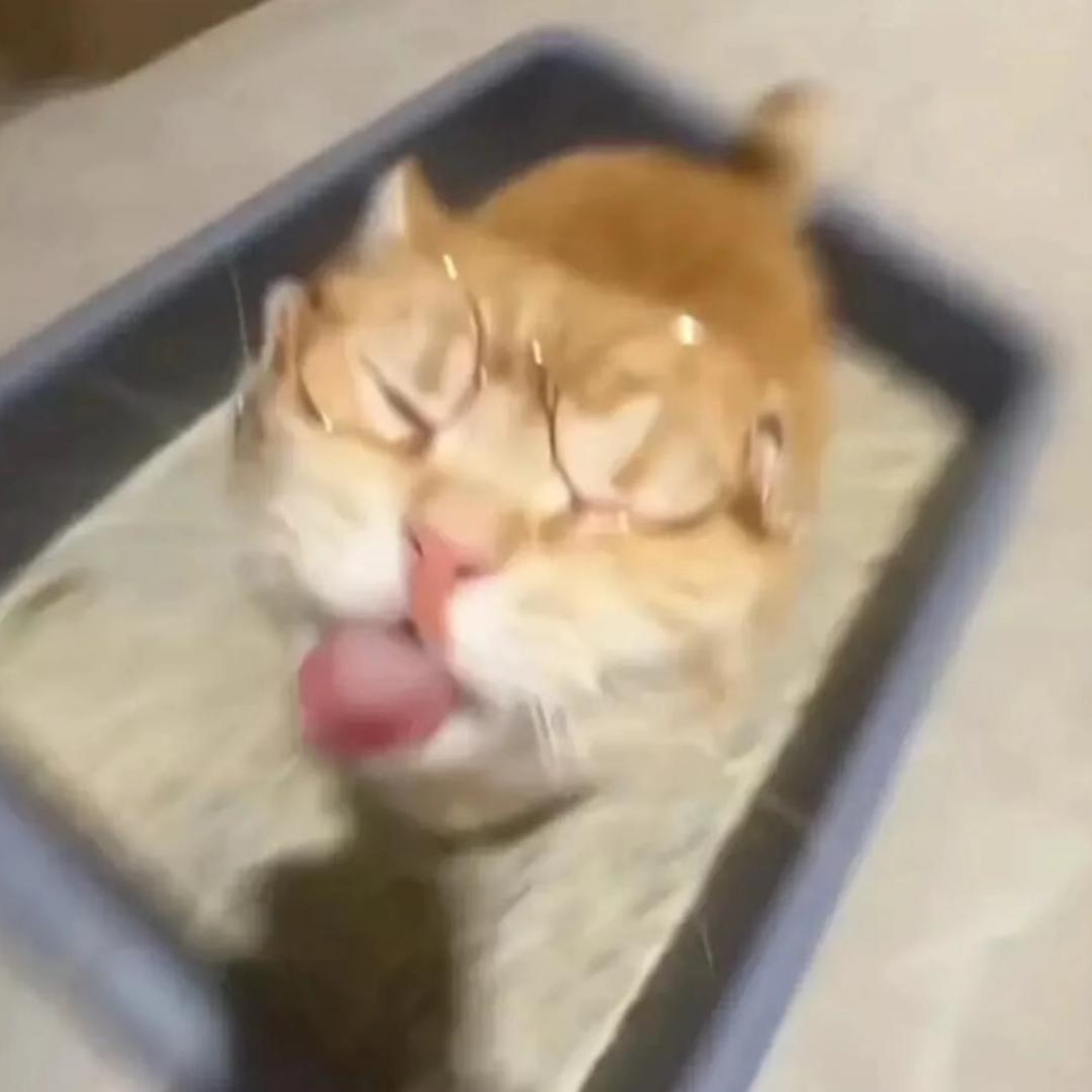 豆