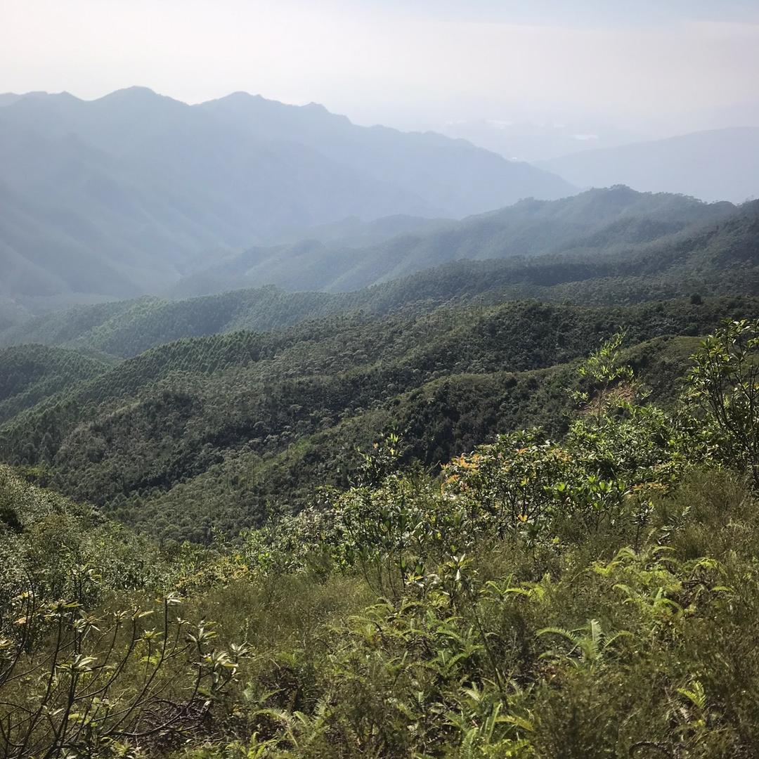 不务正业的养羊人