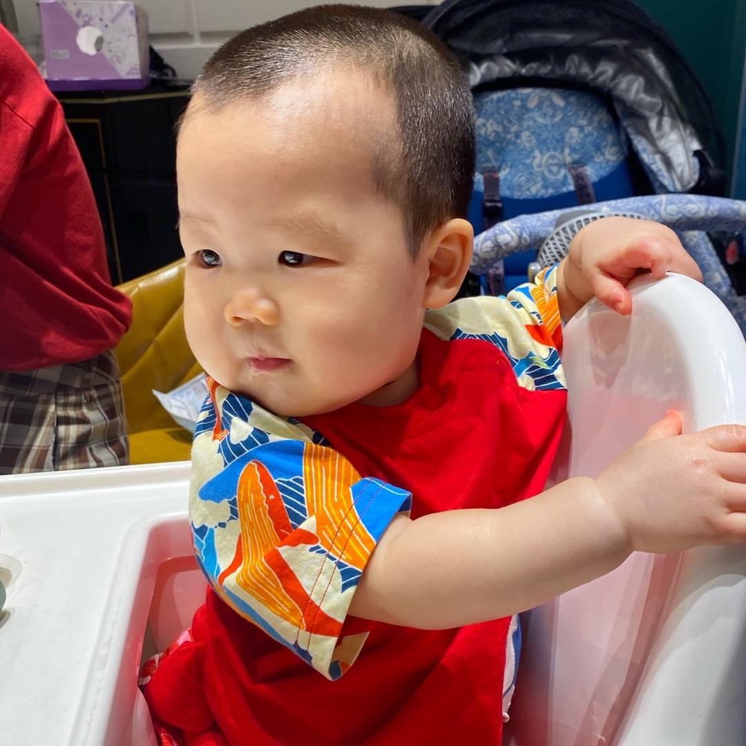 小树苗成长日记