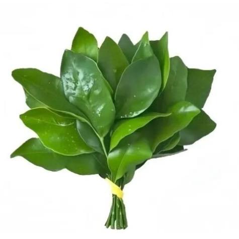 @HuHu～
