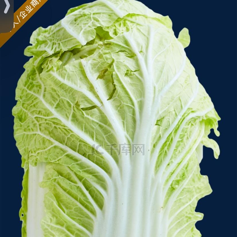 🏇🏻_——大白菜