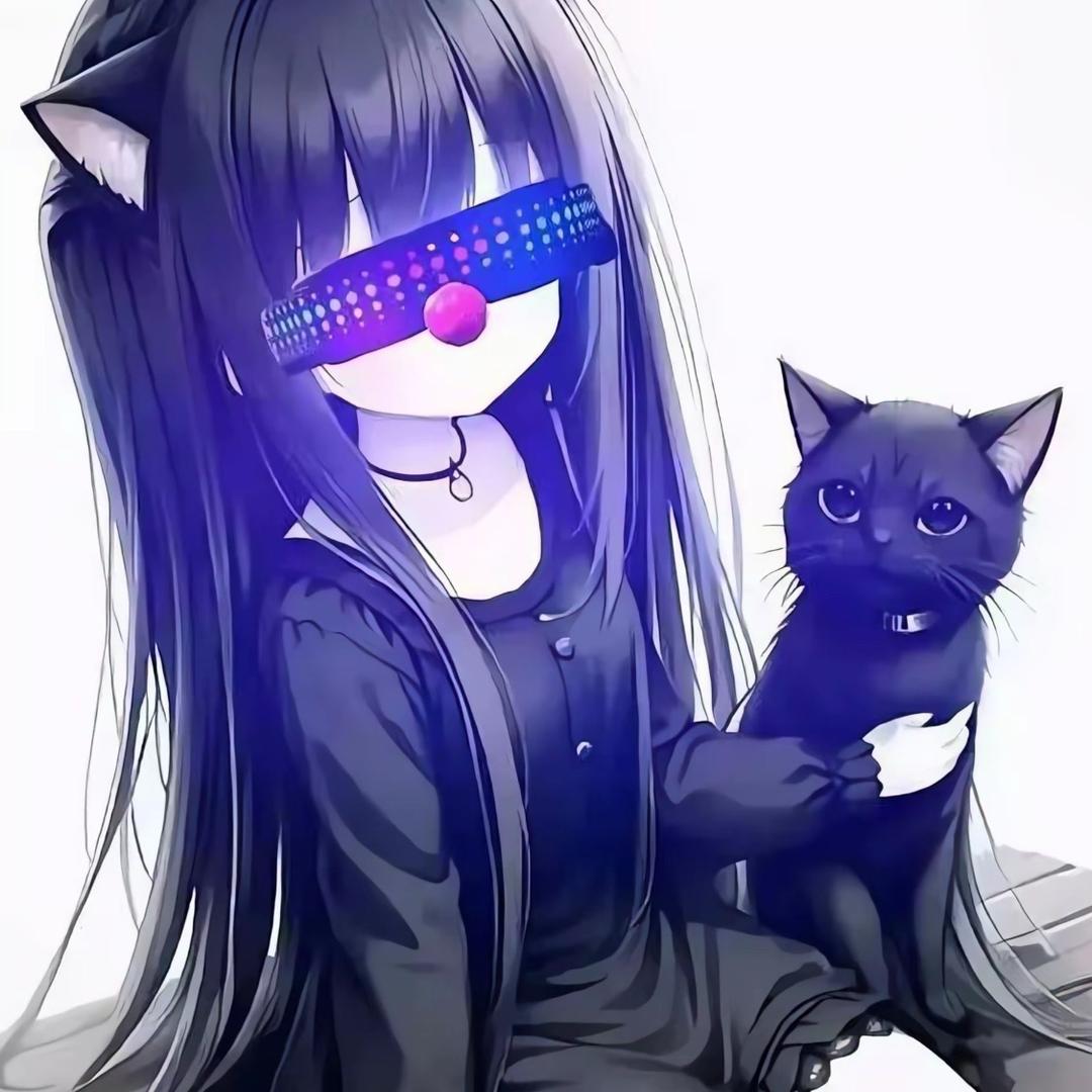 小星仔😼