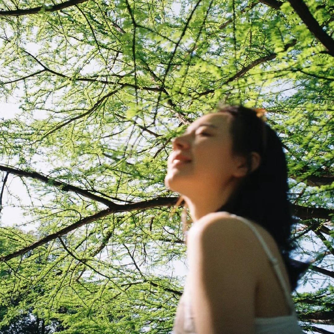 鹿枝盎ang