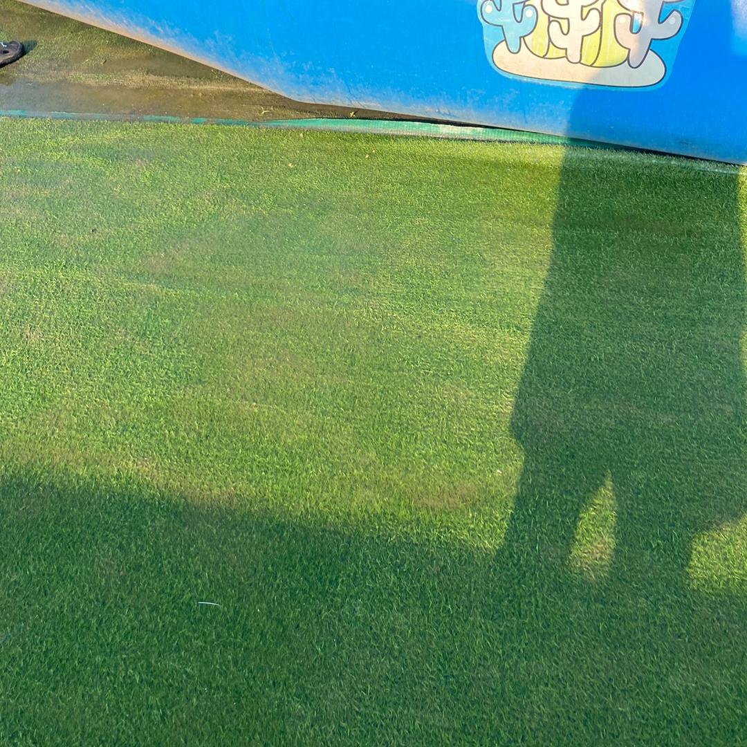 梦梦