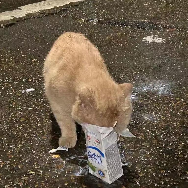 淋着雨