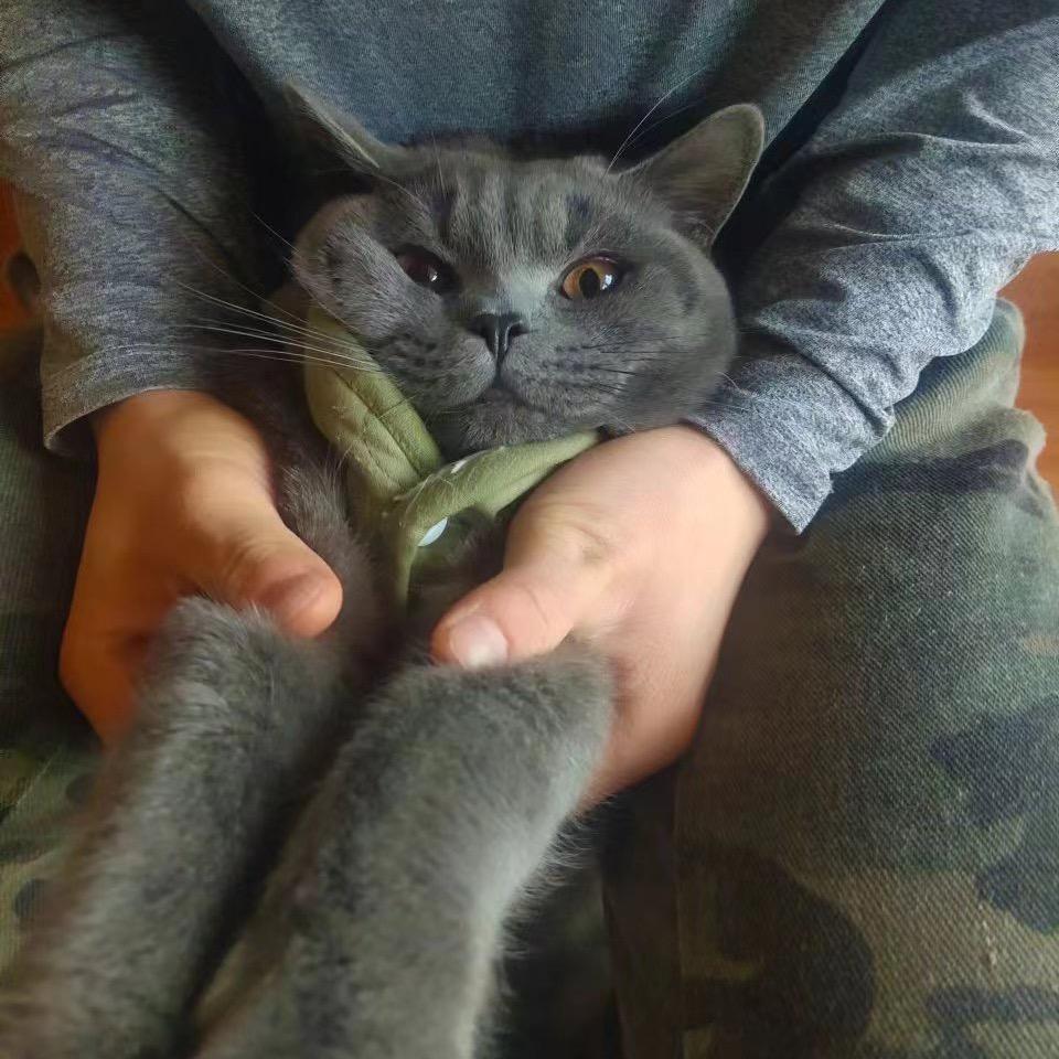 清•