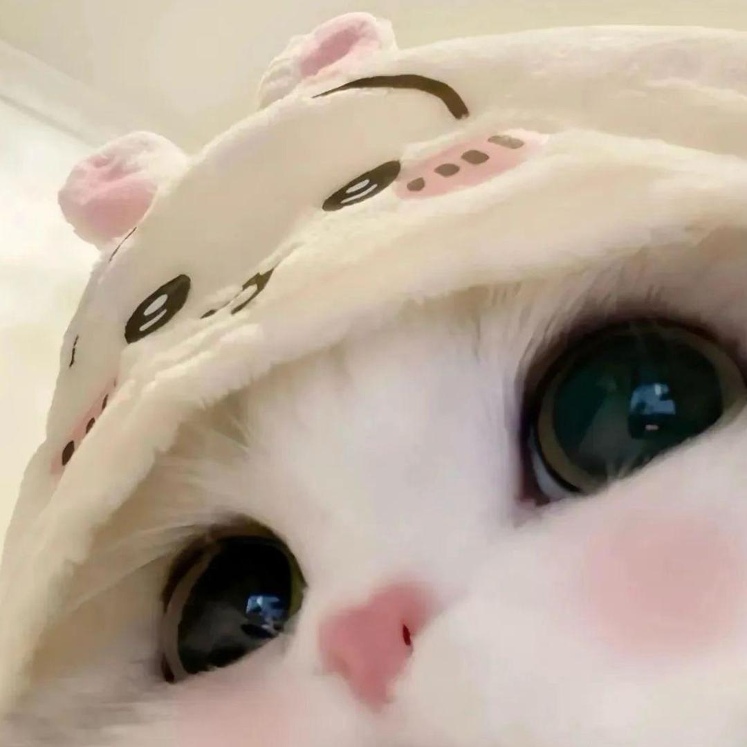 小兔
