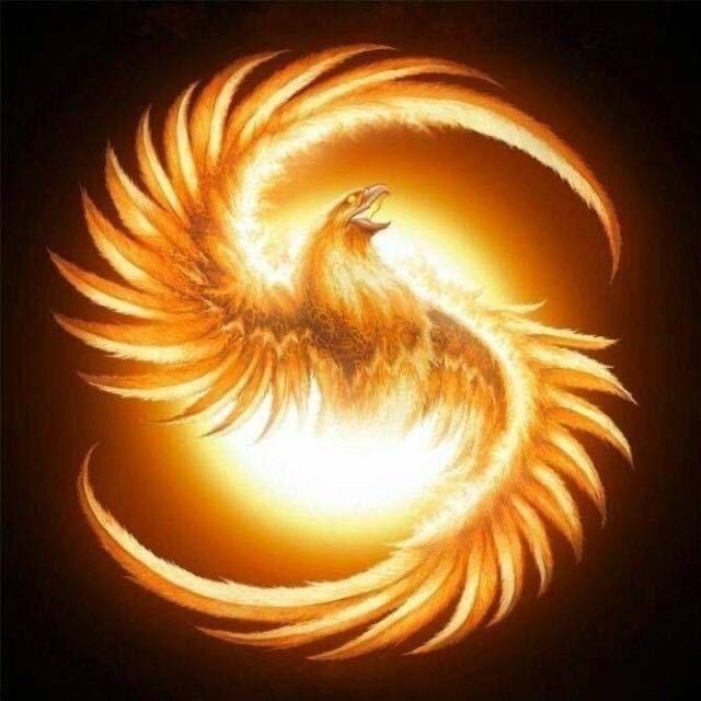 他是余先生