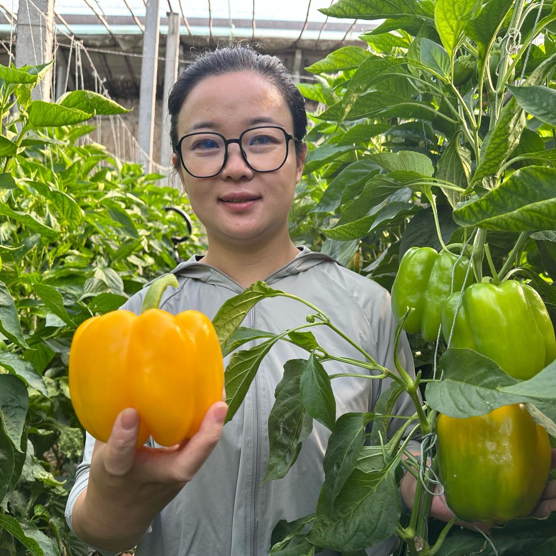陈小小植保