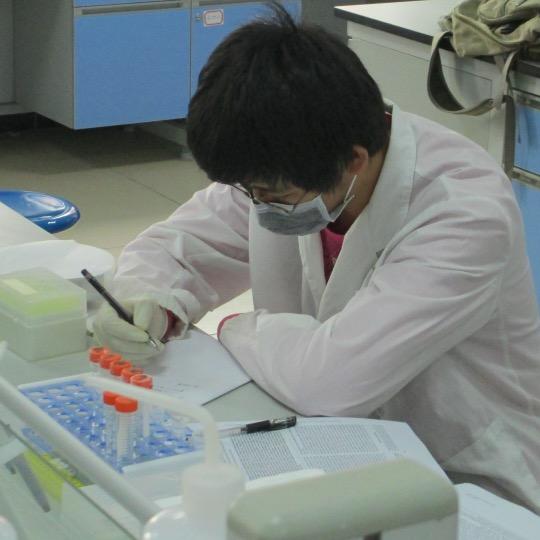 大果的数据分析