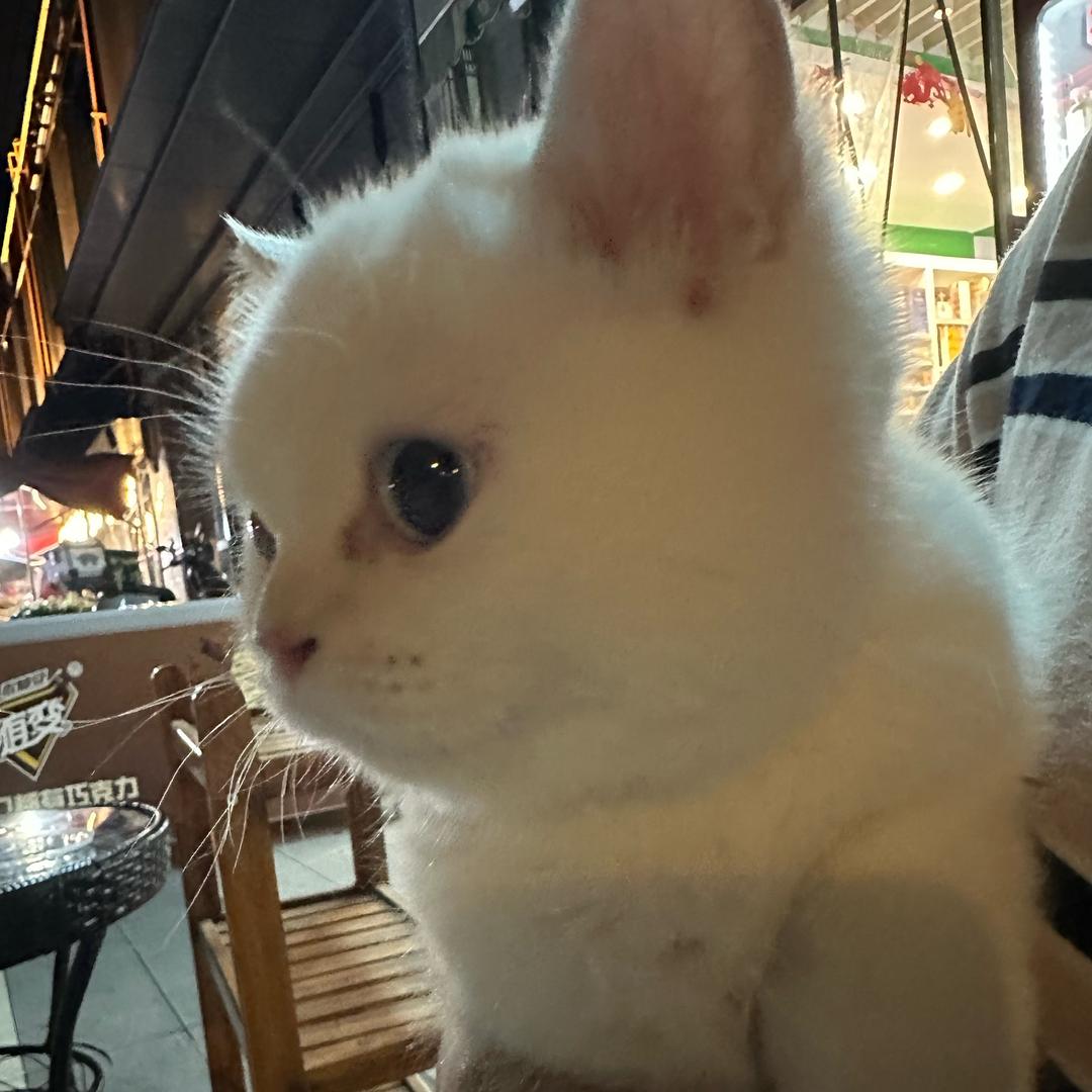 🌈丸子小小🌈