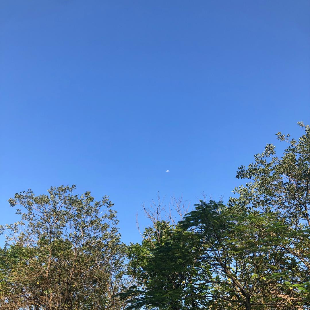 安陆市邱庆百货店（个体工商户）