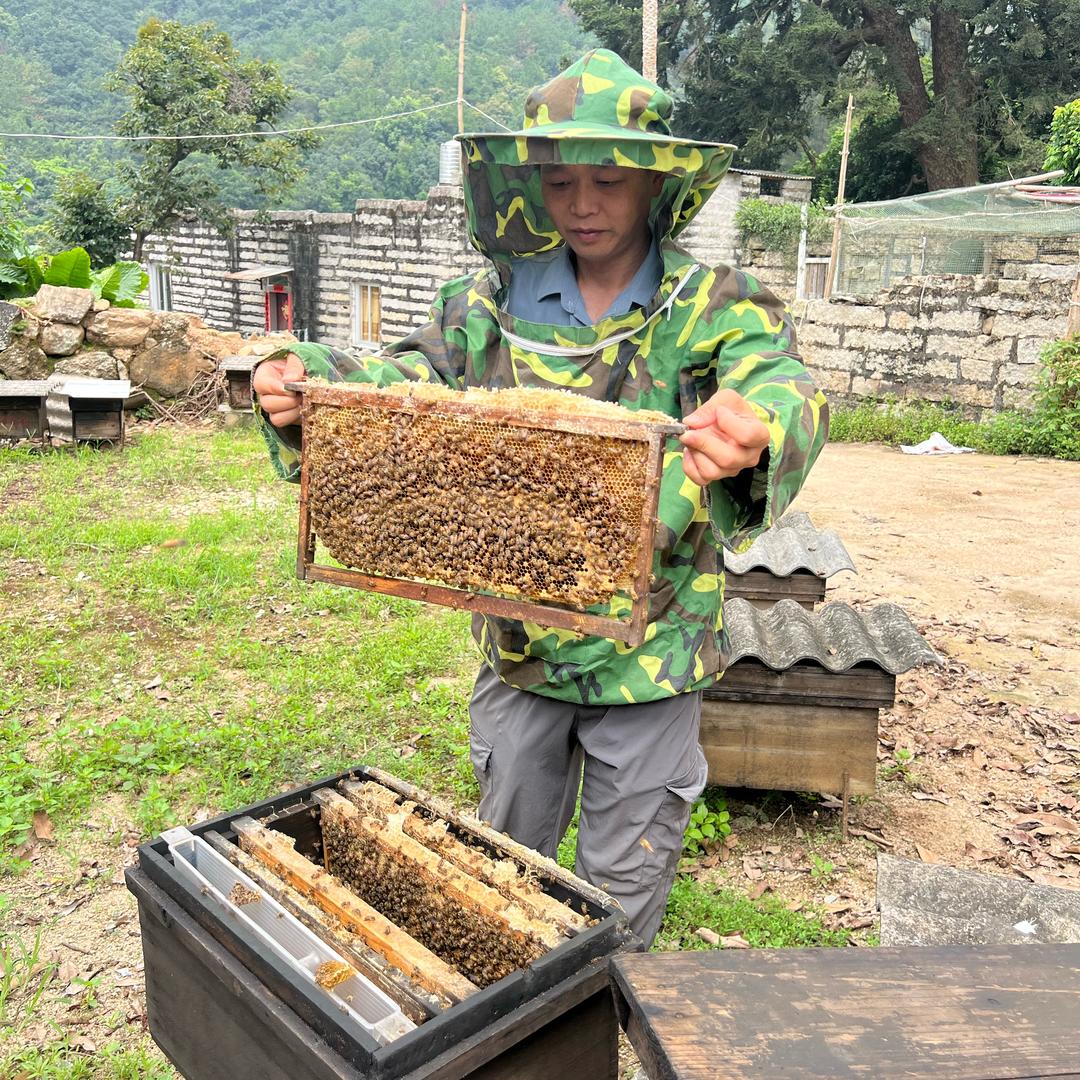 树洞野人贸易商行
