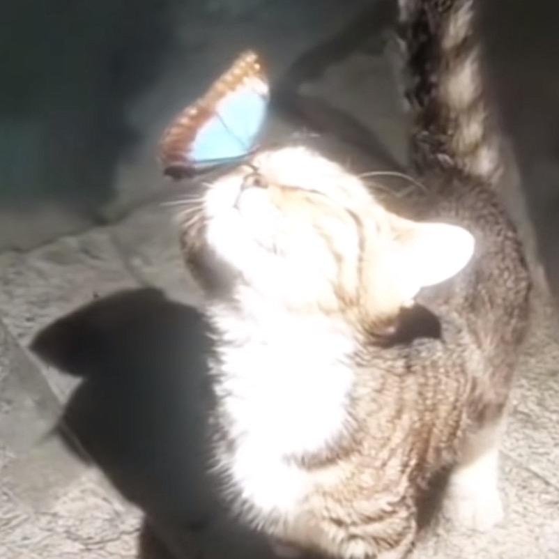ningwwwww