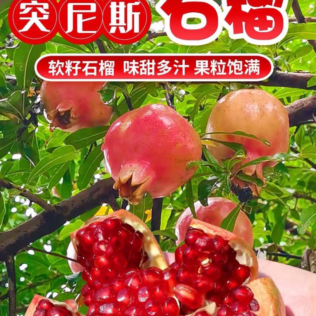 石榴熟了