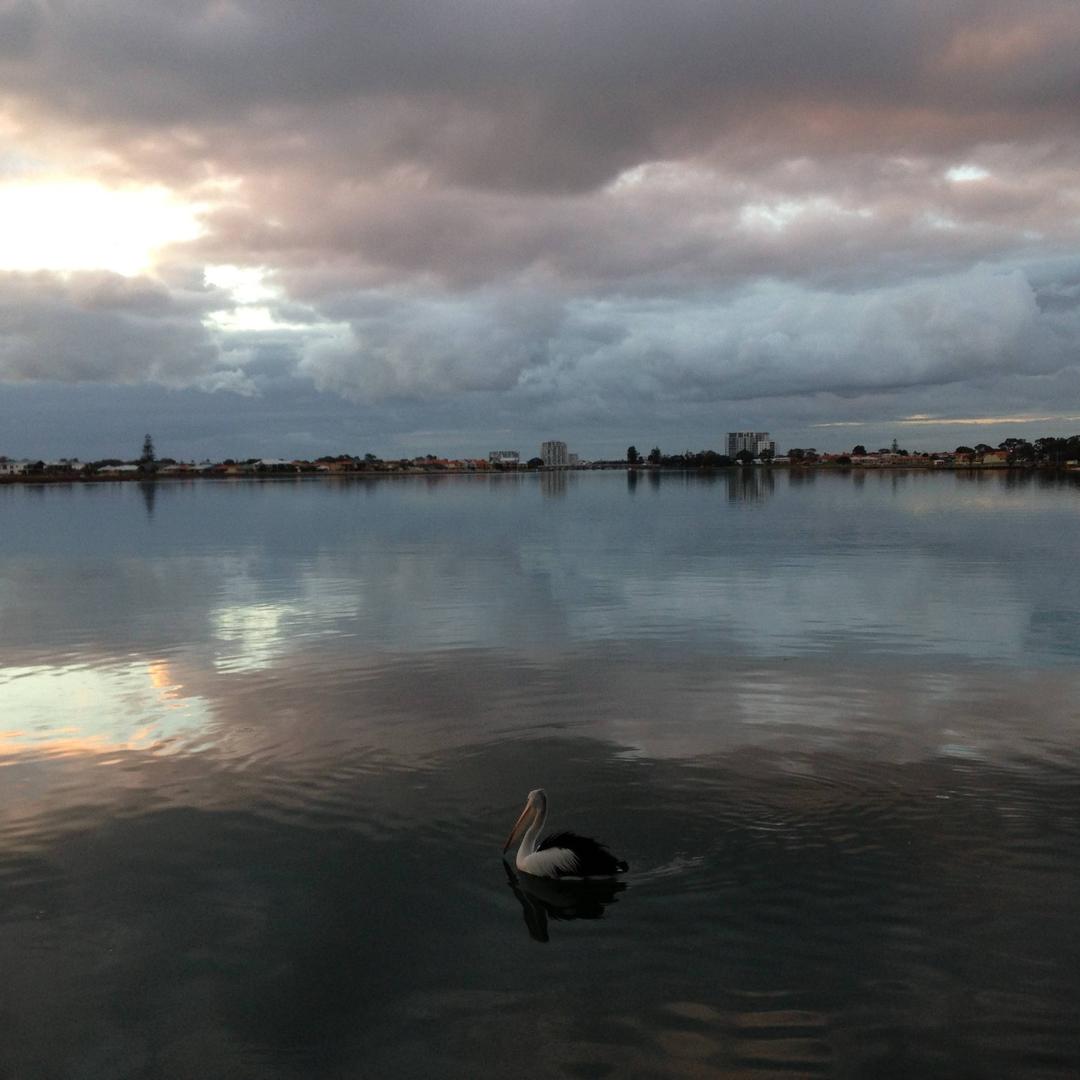 夜闌臥聽風吹雨