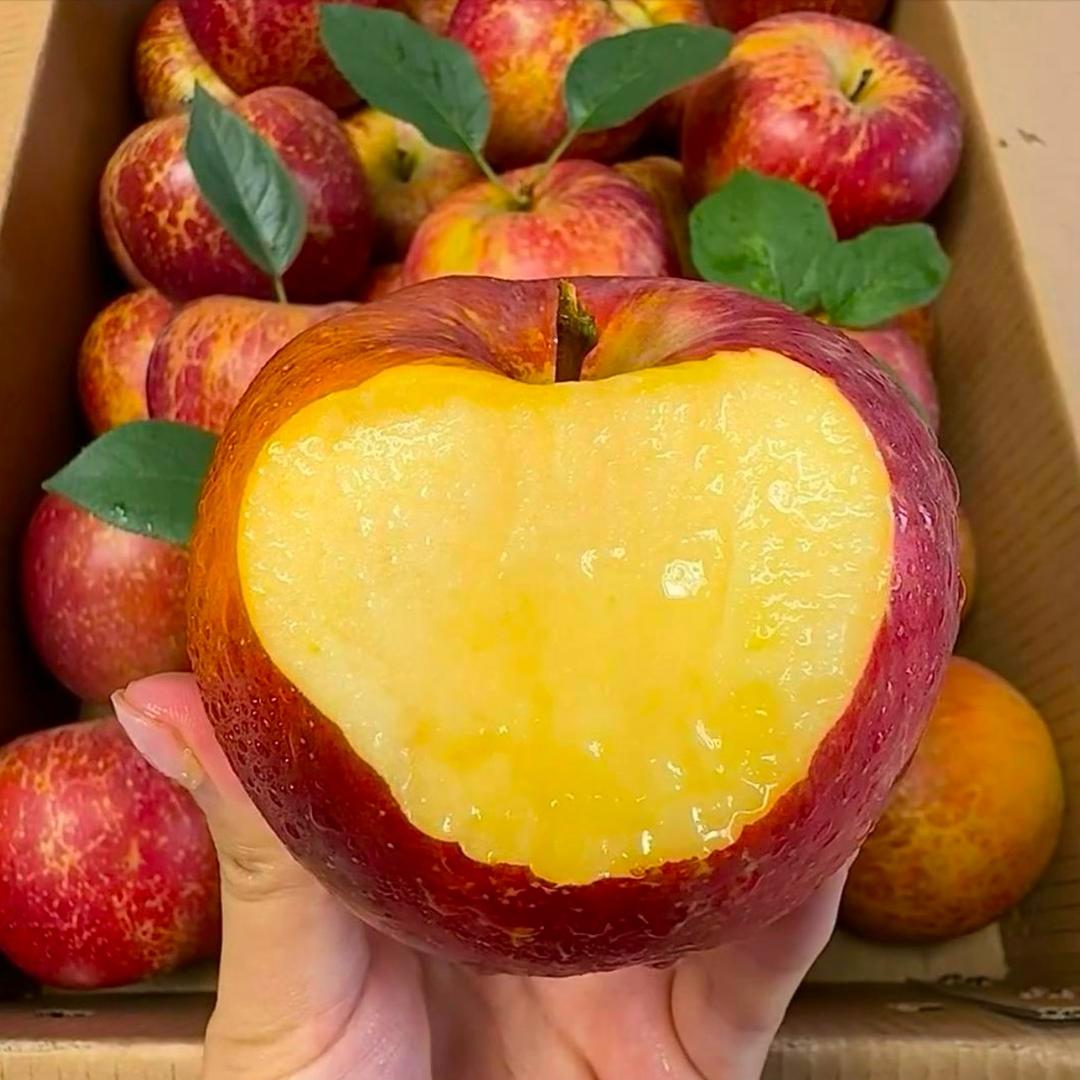 阿克苏糖芯苹果源头工厂