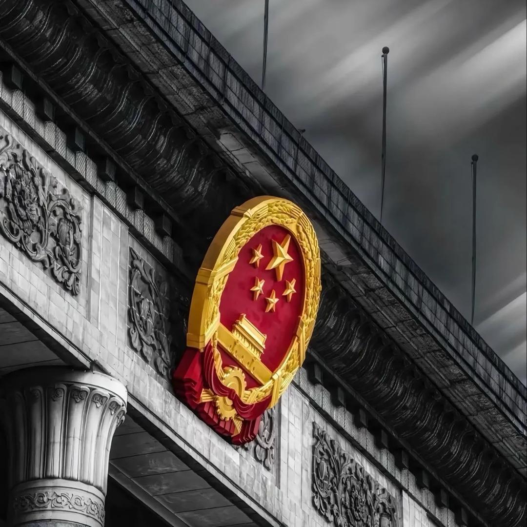 陈公子🇨🇳
