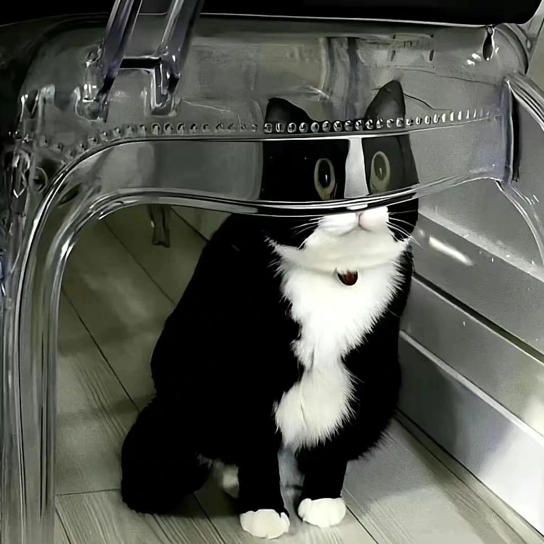 真心不会瞬息万变