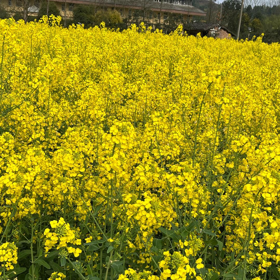 起源...小奥..家人朋友