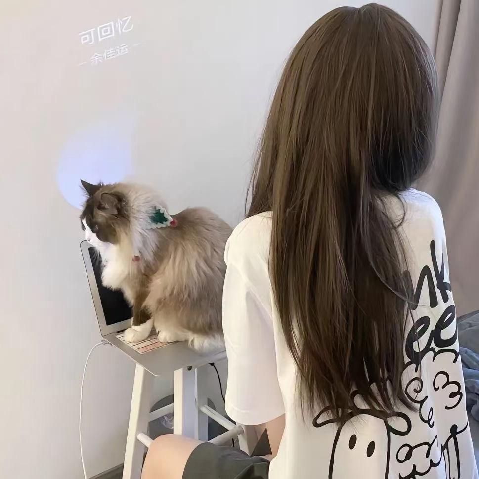 我要找个男朋友