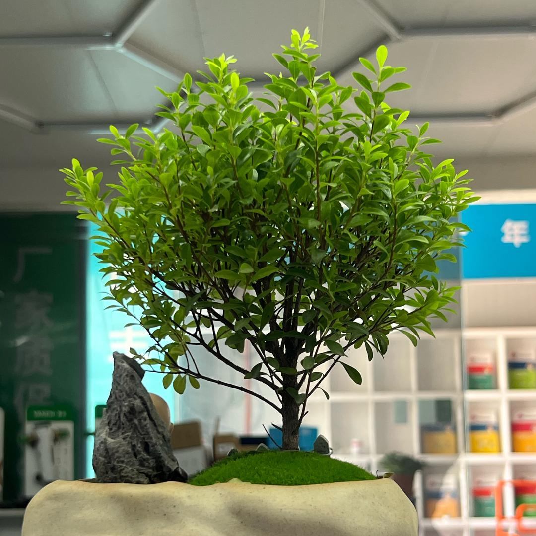 嘀咕建材商贸（河北）有限公司