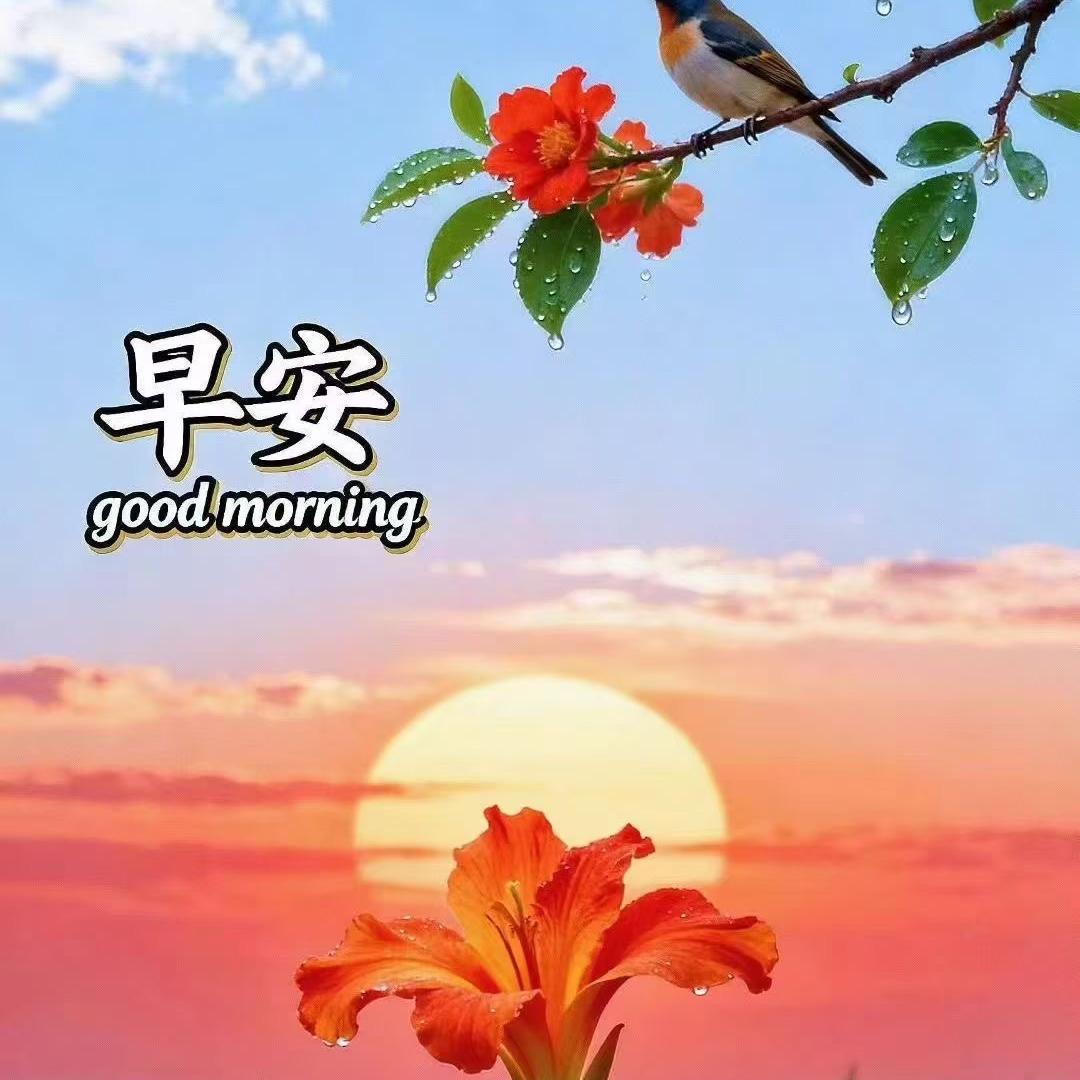 黄老师聊社保（收徒）