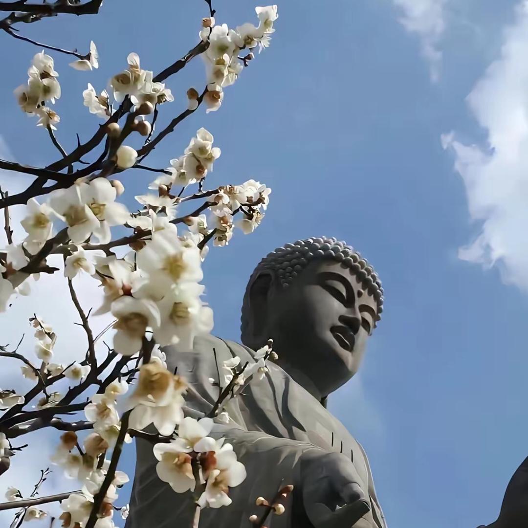 无敌郑郑郑