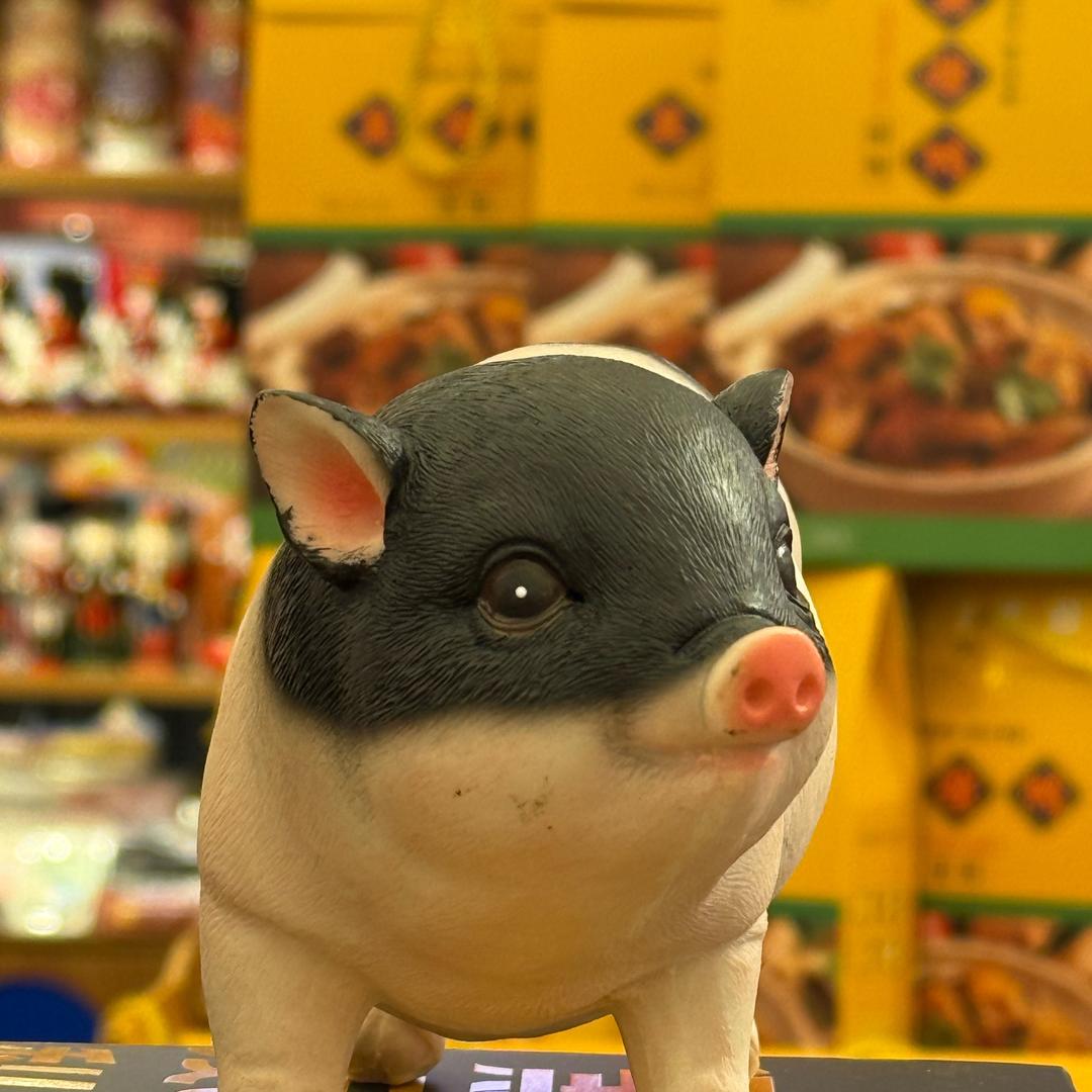 甘心情愿