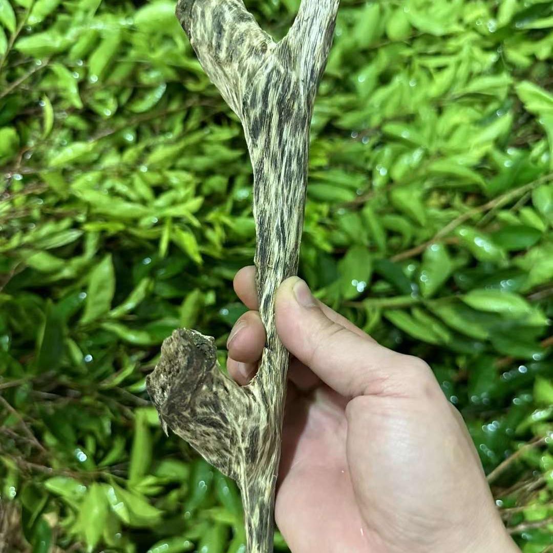 萍萍沉香