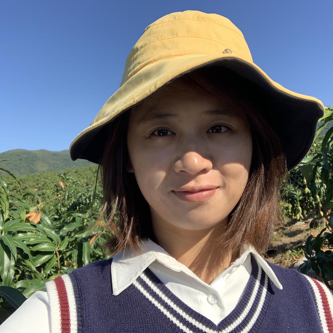 茂玲芒果