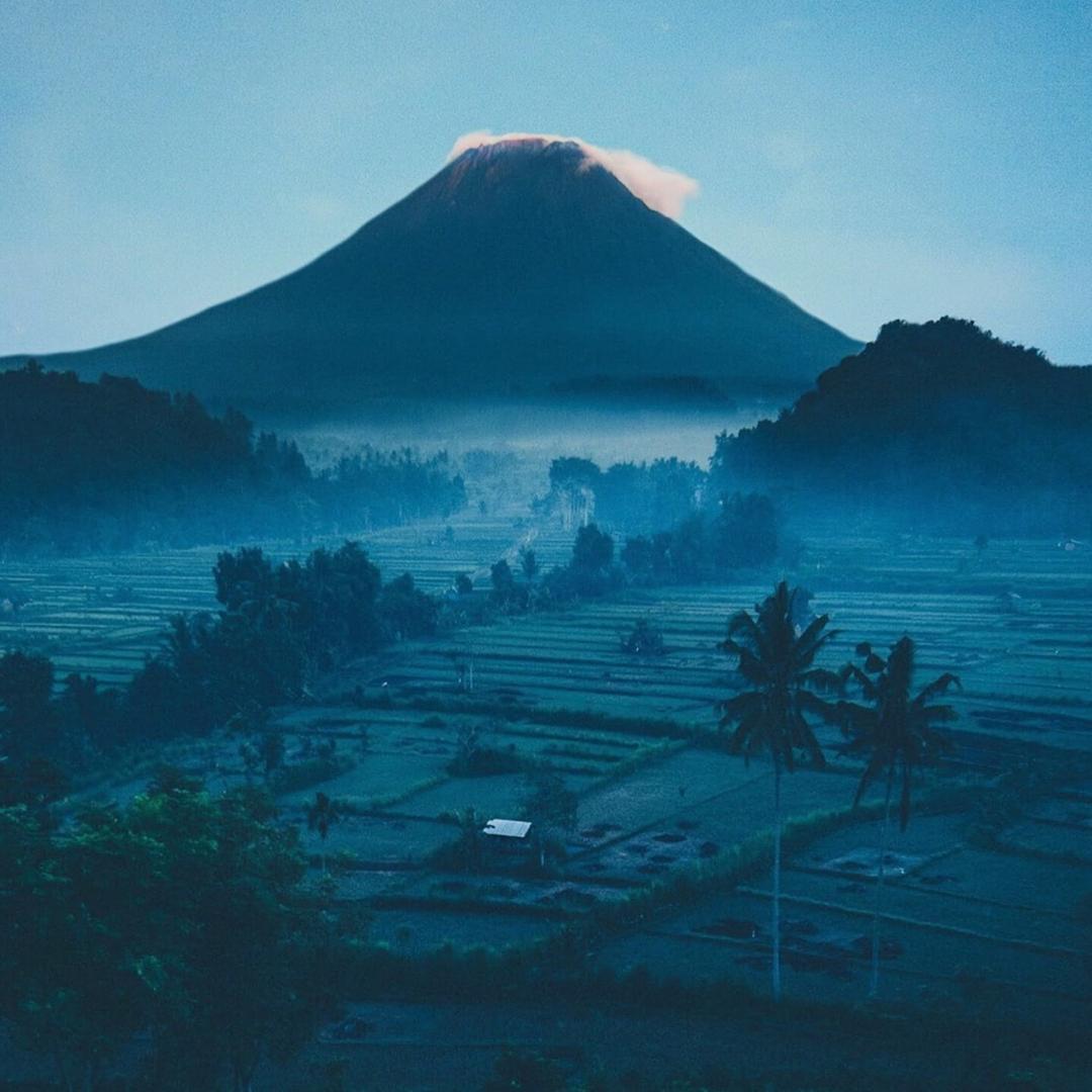 森洋