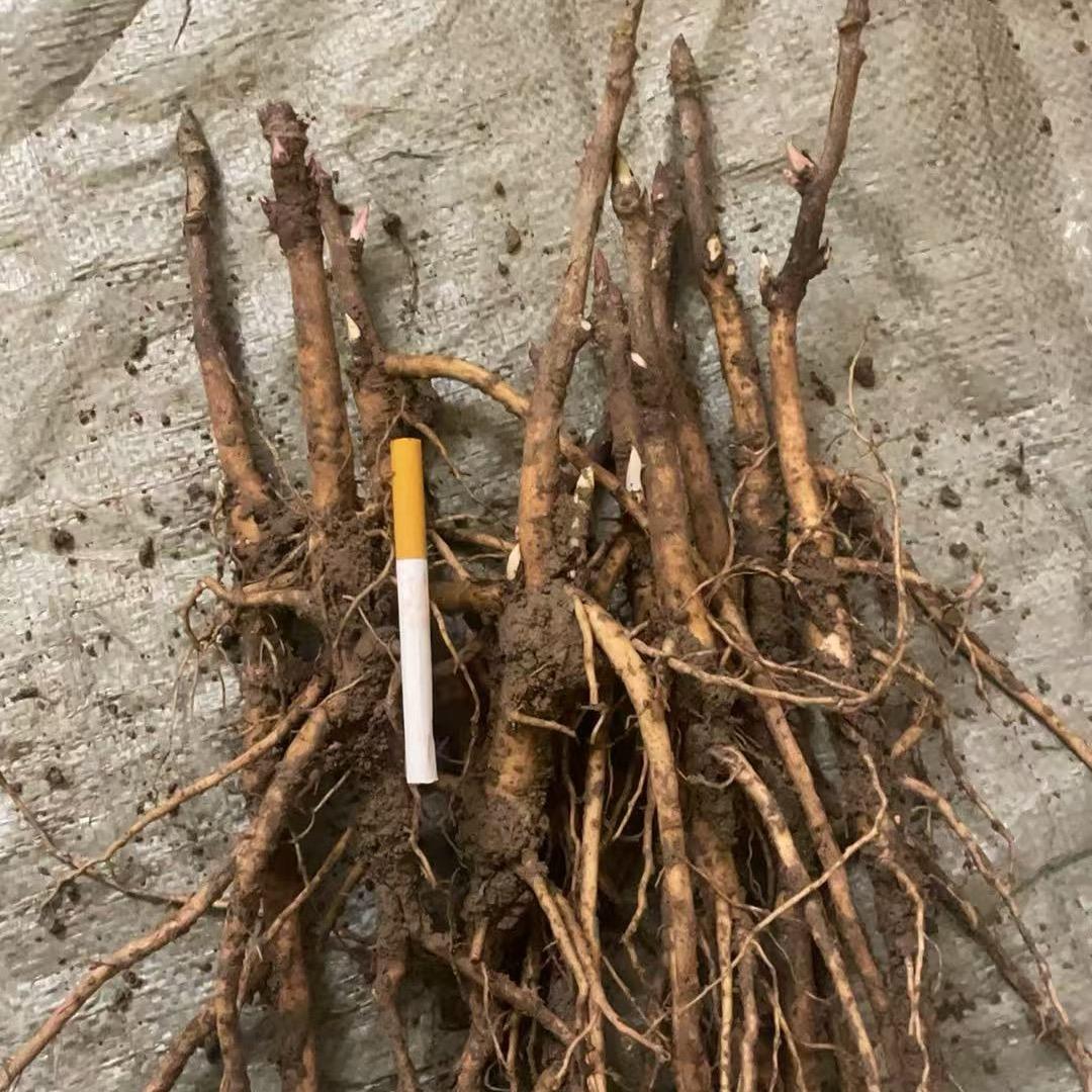 称心如意好物严选