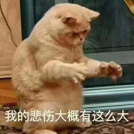 财神爷心尖上的人💞