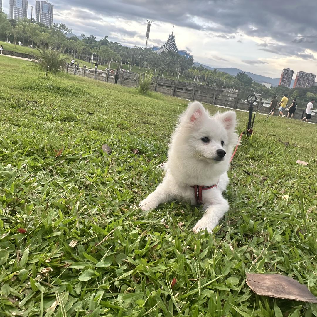来缘珠宝6
